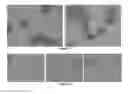 Fig. 58 - Pharmaceutical composition for improving health, cure abnormalities and degenerative disease, achieve anti-aging effect of therapy and therapeutic effect on mammals and method thereof