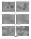 Fig. 61 - Pharmaceutical composition for improving health, cure abnormalities and degenerative disease, achieve anti-aging effect of therapy and therapeutic effect on mammals and method thereof