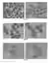 Fig. 62 - Pharmaceutical composition for improving health, cure abnormalities and degenerative disease, achieve anti-aging effect of therapy and therapeutic effect on mammals and method thereof