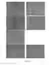 Fig. 87 - Pharmaceutical composition for improving health, cure abnormalities and degenerative disease, achieve anti-aging effect of therapy and therapeutic effect on mammals and method thereof