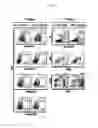 Fig. 03 - Peripheral blood stem cells with improved angiogenic properties and use thereof