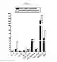 Fig. 15 - Peripheral blood stem cells with improved angiogenic properties and use thereof