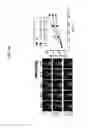 Fig. 24 - Peripheral blood stem cells with improved angiogenic properties and use thereof