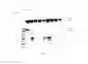 Fig. 20 - Amniotic membrane preparations and purified compositions and anti-inflammation methods