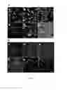 Fig. 27 - Amniotic membrane preparations and purified compositions and anti-inflammation methods