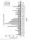 Fig. 05 - METHODS AND COMPOSITIONS FOR TREATMENT OF BONE DEFECTS WITH PLACENTAL CELL POPULATIONS
