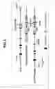 Fig. 02 - Composition for inducing proliferation or accumulation of regulatory T cells