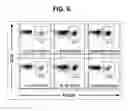 Fig. 05 - Composition for inducing proliferation or accumulation of regulatory T cells