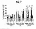 Fig. 06 - Composition for inducing proliferation or accumulation of regulatory T cells