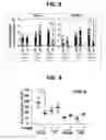 Fig. 07 - Composition for inducing proliferation or accumulation of regulatory T cells