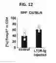 Fig. 09 - Composition for inducing proliferation or accumulation of regulatory T cells