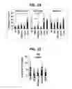Fig. 11 - Composition for inducing proliferation or accumulation of regulatory T cells