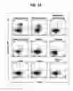 Fig. 18 - Composition for inducing proliferation or accumulation of regulatory T cells