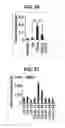 Fig. 26 - Composition for inducing proliferation or accumulation of regulatory T cells