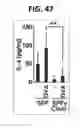 Fig. 32 - Composition for inducing proliferation or accumulation of regulatory T cells