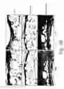 Fig. 15 - MULTIMERIC TIE 2 AGONISTS AND USES THEREOF IN STIMULATING ANGIOGENESIS