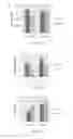 Fig. 10 - Compositions and methods for treating neuropsychiatric disorders using an endothelin-B receptor agonist