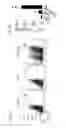 Fig. 06 - METHOD FOR GENERATING CARDIOMYOCYTES