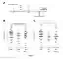 Fig. 10 - Methods and pharmaceutical compositions for the treatment of bacterial infections