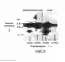 Fig. 04 - Synthetic Apolipoprotein E Mimicking Polypeptides And Methods Of Use