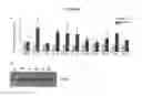 Fig. 08 - THERAPEUTIC METHOD OF TREATING METABOLIC DISORDERS