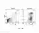 Fig. 08 - Methods for inducing partial apoptosis using caspase polypeptides