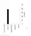 Fig. 14 - Methods for inducing partial apoptosis using caspase polypeptides