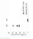 Fig. 15 - Methods for inducing partial apoptosis using caspase polypeptides
