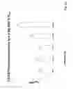 Fig. 70 - Methods for inducing partial apoptosis using caspase polypeptides