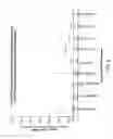 Fig. 06 - Method of inducing a T lymphocyte response using T-cell immunogens derived from anti-viral proteins