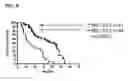 Fig. 13 - Methods and compositions for treating prostate cancer or inducing a humoral immune response against prostate cancer
