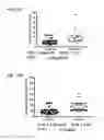Fig. 18 - Methods and compositions for treating prostate cancer or inducing a humoral immune response against prostate cancer