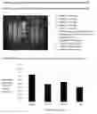 Fig. 07 - Bacterial Ribonucleic Acid Cell Wall Compositions and Methods of Making and Using Them