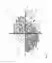 Fig. 08 - MESOPOROUS ALUM NANOPARTICLES AS A UNIVERSAL PLATFORM FOR ANTIGEN ADSORPTION, PRESENTATION, AND DELIVERY