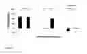 Fig. 03 - Polysaccharide suitable to modulate immune response