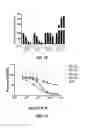 Fig. 15 - Cells prepared by transient transfection and methods of use thereof