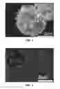 Fig. 02 - Heating Elements Having Plasmonic Nanoparticles for Localized Heating