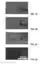 Fig. 05 - Heating Elements Having Plasmonic Nanoparticles for Localized Heating