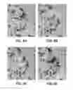 Fig. 08 - Heating Elements Having Plasmonic Nanoparticles for Localized Heating