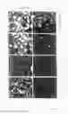 Fig. 05 - PEPTIDES USEFUL AS CELL-PENETRATING PEPTIDES