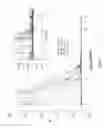 Fig. 07 - Methods and compositions related to immunogenic fibrils