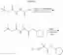 Fig. 09 - Enzyme and receptor modulation using covalent conjugates of alpha,alpha-disubstituted glycine esters