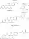 Fig. 22 - Enzyme and receptor modulation using covalent conjugates of alpha,alpha-disubstituted glycine esters