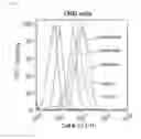 Fig. 03 - Cell-penetrating peptide, conjugate comprising same and composition comprising same