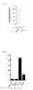 Fig. 07 - Cell-penetrating peptide, conjugate comprising same and composition comprising same