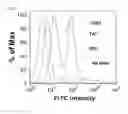 Fig. 09 - Cell-penetrating peptide, conjugate comprising same and composition comprising same