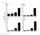 Fig. 10 - Cell-penetrating peptide, conjugate comprising same and composition comprising same