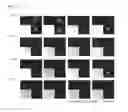 Fig. 11 - Cell-penetrating peptide, conjugate comprising same and composition comprising same