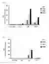 Fig. 16 - Cell-penetrating peptide, conjugate comprising same and composition comprising same