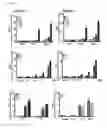 Fig. 20 - Cell-penetrating peptide, conjugate comprising same and composition comprising same